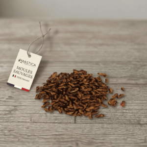 Moules - 50g