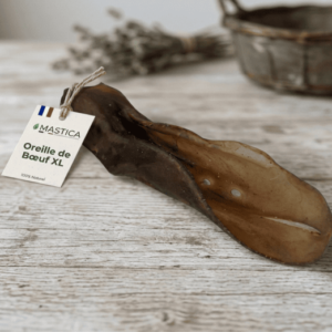 Oreille de boeuf XL