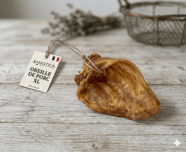 Oreille de porc XL