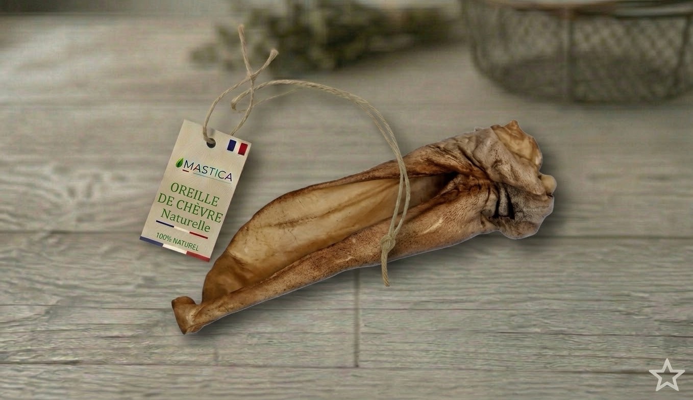 Oreille de chèvre